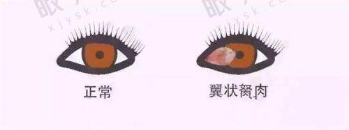 【骨干医生坐诊时间全掌握，告别“扑空”尴尬】