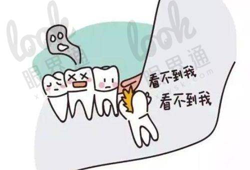 二、环境温馨,服务贴心