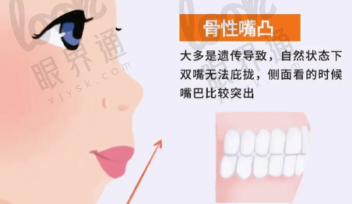 美国皓圣：稳定可靠，口碑佳
