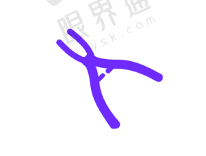 四、价格透明,性价比高