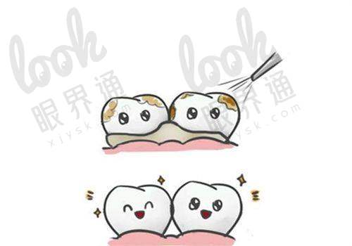 四、百年老院，实力保护