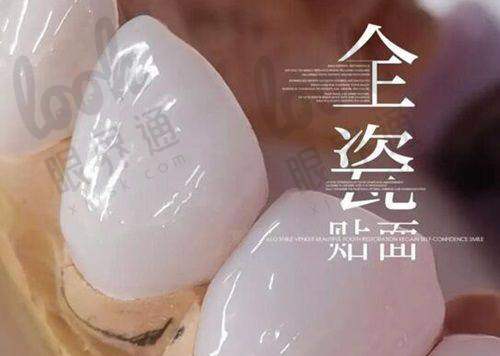 二、品牌段位图鉴：从“经济舱”到“头等舱”全解析