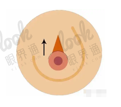 知乎网友的真实评价
