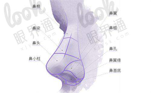 华美整形美容医院医生技术优势