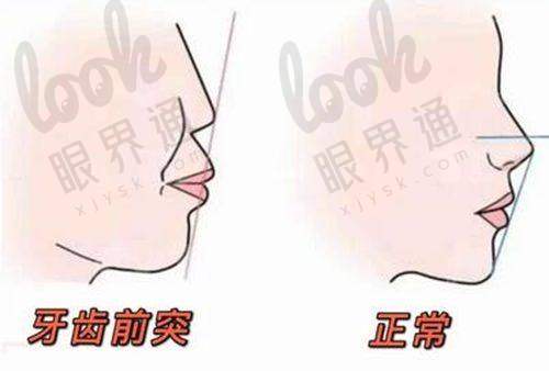 多种项目，满足不同需求