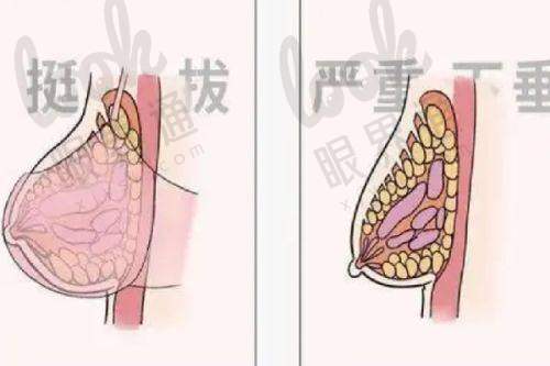 杭州整形十大机构之一，综合排名靠前