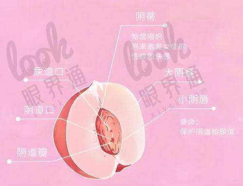 广州曙光医院种植牙业务靠谱吗？口腔分科独立运作更专精