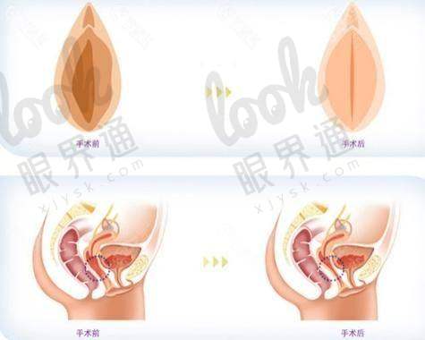 医院环境与设施：高标准打造安心诊疗氛围