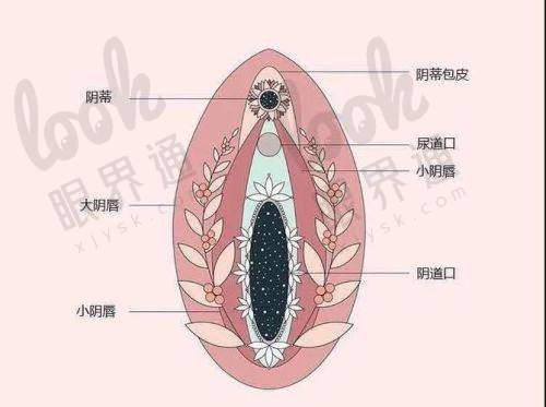 广州曙光医院进入2025正规美容医院排行榜前十，背后意义重大