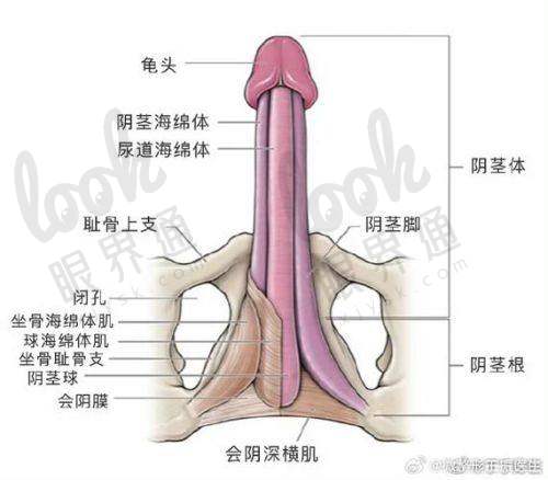 患者反馈 | 世檀塔手术体验分享