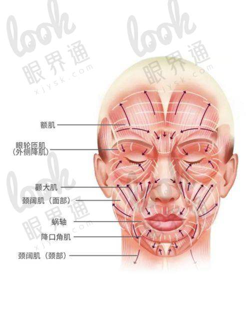 袁强拉皮手术实例揭秘：从普通到惊艳的蜕变之旅