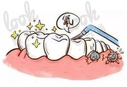 五、预约指南