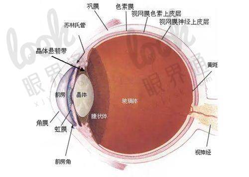 四、服务体验:比海底捞还
