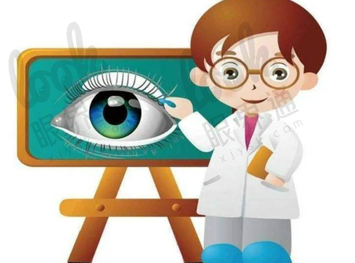 三、医生天团:眼科界的