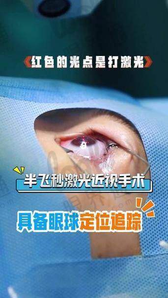 周末哪些项目可以做？你关心的通通安排得明明白白