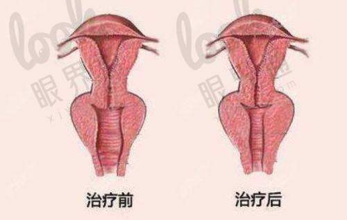 (二)技术专长